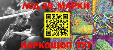 индика Тулун