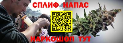 бошки Тара