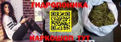 бошки Тара