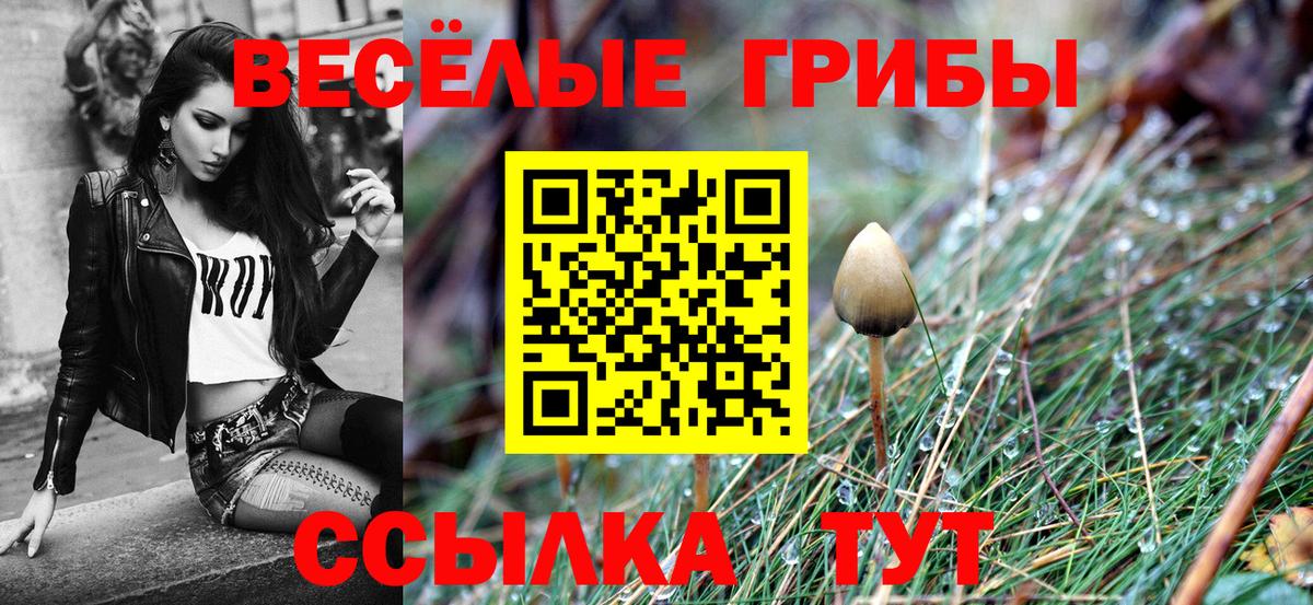Галлюциногенные грибы Psilocybe  Вход с VPN  Минеральные Воды 